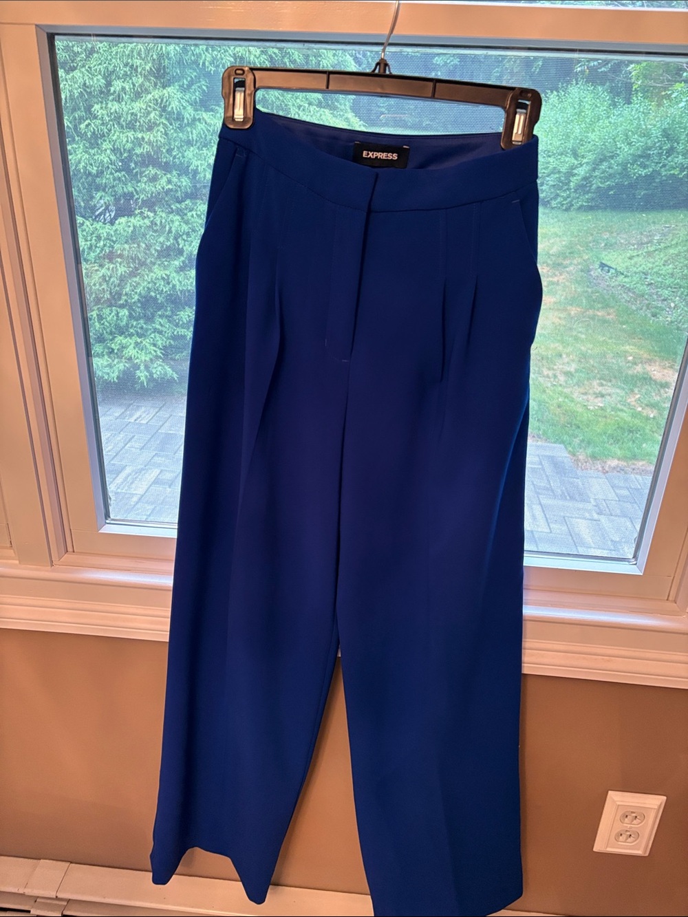 Express Blue Wide-Leg Dress Pants